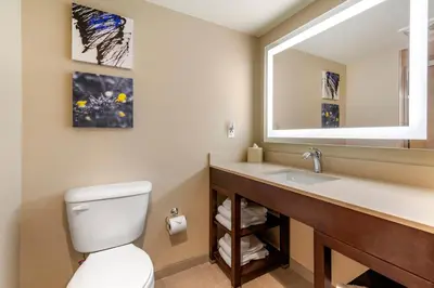 a bathroom with a toilet and a sink with a mirror at Comfort Suites Broomfield-Boulder-Interlocken in Broomfield