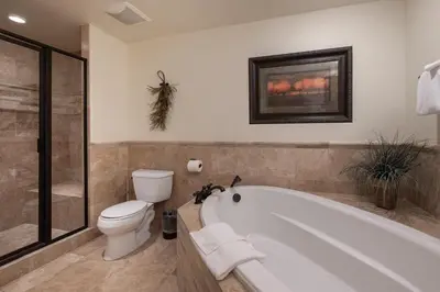 a bathroom with a bath tub and a toilet at Dreamcatcher at Lakota home in Winter Park