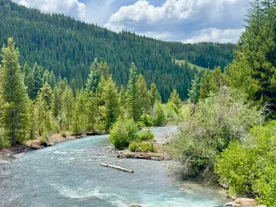 a river in the middle of a forest at Alders 46 by SummitCove Lodging in Keystone
