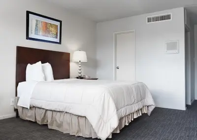 a bedroom with a large white bed and a lamp at GREELEY UNIVERSITY INN/ GREELEY INN in Greeley