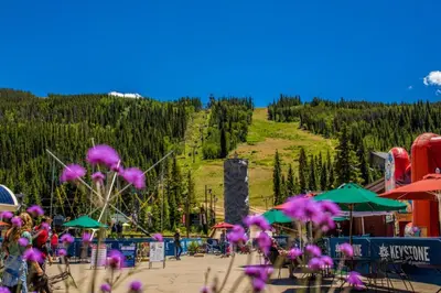 a bunch of pink flowers in front of a mountain at Arapahoe Lodge by Summit County Mountain Retreats in Keystone