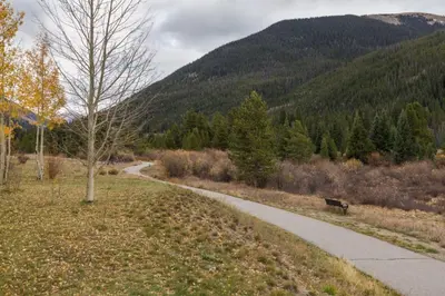 a bench sitting on the side of a path with a mountain at Red Hawk Lodge by Summit County Mountain Retreats in Keystone