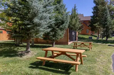 two wooden picnic tables in a park with trees at Snake River Village by Summit County Mountain Retreats in Keystone