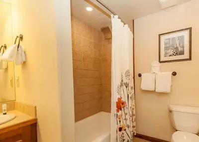 a bathroom with a shower and a toilet and a sink at Oro Grande by Summit County Mountain Retreats in Keystone