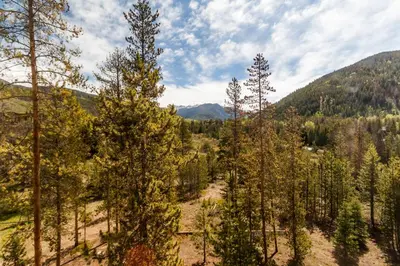 a forest of trees with mountains in the background at Pines by Summit County Mountain Retreats in Keystone