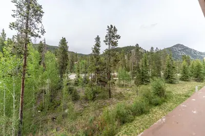 a view of a forest with trees and a road at Springs by Summit County Mountain Retreats in Keystone
