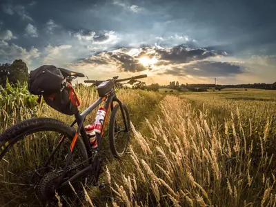 a bike parked in a field of tall grass at Horsetooth Stoop Trails, Lake Access and Mountain Views in Fort Collins