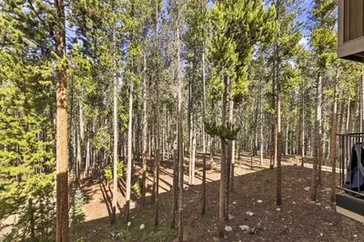 a view of a forest of trees from a house at Cozy Ski Chalet Less Than 3 Mi to Winter Park Resort! in Winter Park