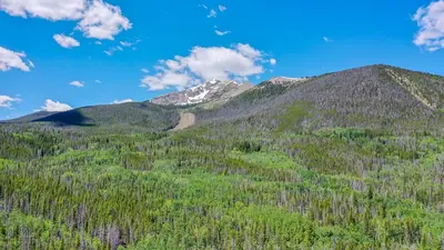 a mountain covered in trees with a snow covered mountain at Sungate Condo: Nice Frisco Location in Frisco