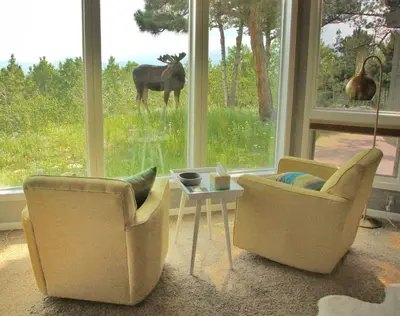 a living room with two chairs and a table and a deer through a window at Mountain Views and Hot Tub Airy Forest Escape! in Black Hawk