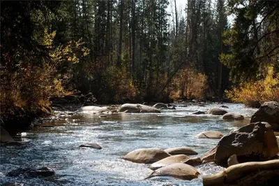 a river with rocks in the middle of a forest at 2084 The Pines condo in Keystone