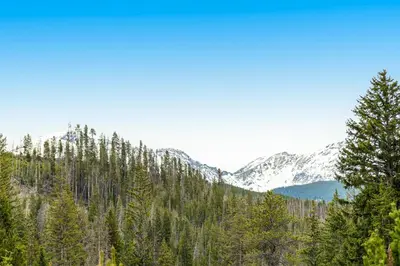a view of a forest with snow covered mountains at Modern High Country Haus in Winter Park