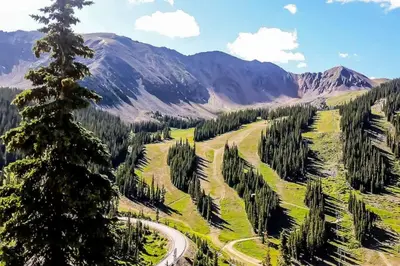 a winding road in the mountains with a tree at Lake Cliffe E-305 - Dillon in Dillon