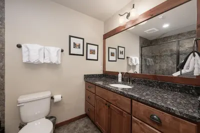a bathroom with a toilet and a sink and a mirror at Cozens Pointe I-101 condo in Fraser