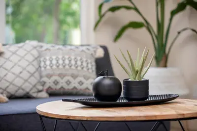 a black apple on a plate on a coffee table at Hip Old Town North Gem! Near Breweries and River! in Fort Collins