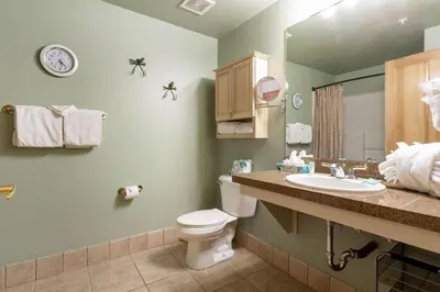 a bathroom with a toilet and a sink at Gateway Mountain Lodge 5029 - Keystone in Keystone