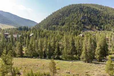 a hillside filled with trees in a field at 2105 The Pines condo in Keystone