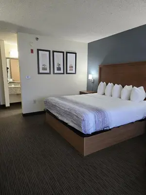 a bedroom with a large bed in a hotel room at AmericInn by Wyndham Windsor Ft. Collins in Fort Collins