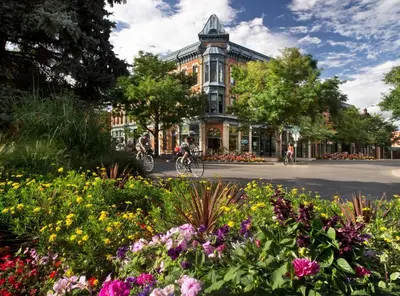 a group of people riding bikes down a street with flowers at Centrally Located, Comfortable Home in Music City in Fort Collins