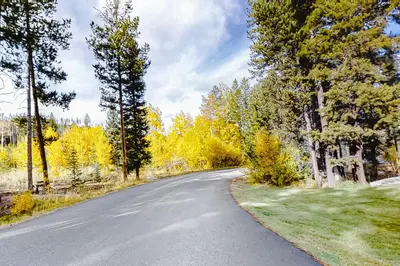 an empty road with trees on either side at Beaver Village 15-11 in Winter Park