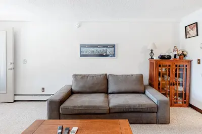 a living room with a couch and a table at Wildernest Getaway in Silverthorne