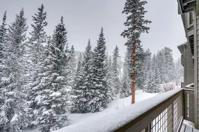 a snowy yard with snow covered trees on a balcony at Silverthorne Gem with Community Perks 11 Mi to Ski! in Silverthorne