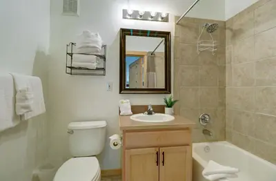 a bathroom with a toilet and a sink and a tub at 101 Streamside Lane condo in Frisco