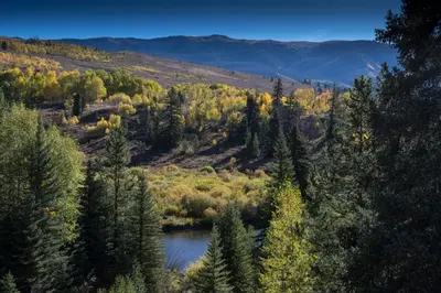 a river in the middle of a field with trees at Blue River Condo Unit 3301 in Silverthorne