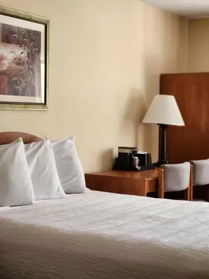 a bed in a hotel room with a lamp and a telephone at Luxury Inn & Suites in Silverthorne