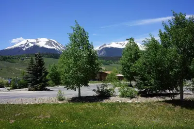 a group of trees with snow capped mountains in the background at Luxury Inn & Suites in Silverthorne