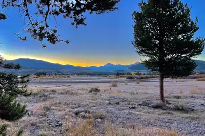 a tree in a field with mountains in the background at Mountain Meadows 302 in Frisco