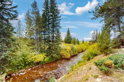 a stream in the middle of a forest at Hi Country Haus 14-5 in Winter Park