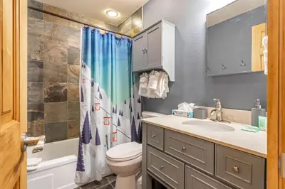 a bathroom with a toilet sink and a shower curtain at Buffalo Woods 216 - Wildernest in Silverthorne