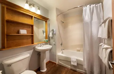 a bathroom with a toilet and a sink and a shower at Wonderful Zephyr Mountain Lodge condo with forest views - close to gondola condo in Winter Park