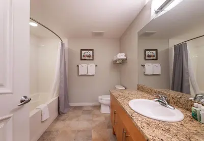 a bathroom with a sink and a toilet and a shower at Winter Park FF Premium Rated Condo 3511 in Winter Park