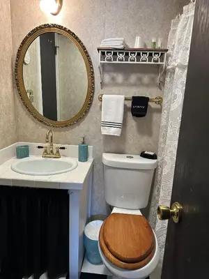 a bathroom with a toilet with a sink and a mirror at Inn of Glen Haven in Glen Haven