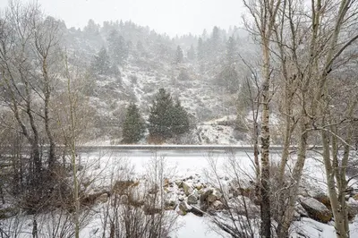 a snow covered lake with trees in the background at Iconic Log Cabin Escape - Idaho Springs - Hot Tub in Idaho Springs