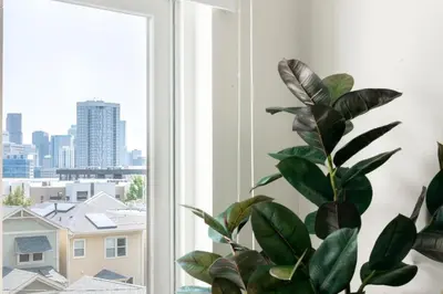 a plant sitting next to a window with a city view at Colorful Western Vibe - Pet-Friendly - Zuni Lofts in Denver