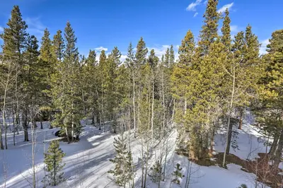 an aerial view of a snow covered forest with trees at Black Hawk Mountain Cabin about 4 Mi to Casinos! in Black Hawk