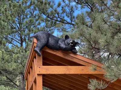 a statue of a cat sitting on top of a roof at Bear House -- EV #3073 home in Estes Park