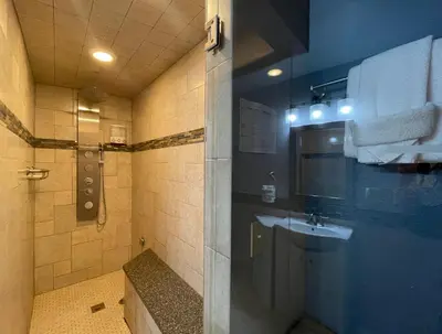 a bathroom with a shower with a sink and a shower at Couples Retreat with Hot Tub, Sauna and Steam Room in Fort Collins