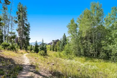 a dirt road through a forest with a house in the background at Misty Meadow in Fraser