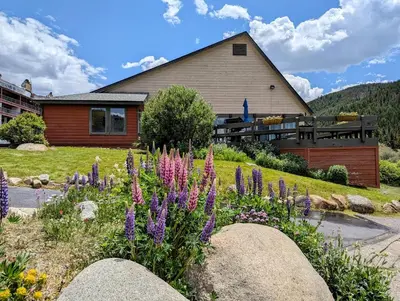 a garden with purple flowers in front of a house at Lenawee 1741 by SummitCove Lodging in Keystone