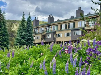 a garden with purple flowers in front of a building at Lenawee 1741 by SummitCove Lodging in Keystone