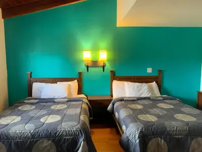 two beds in a room with a green wall at Fort Collins Inn in Fort Collins