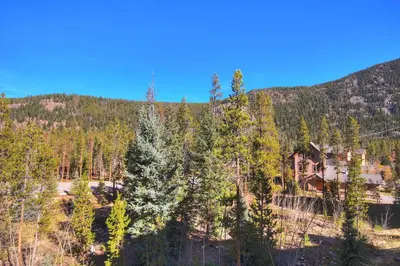 a house in the middle of a forest of trees at Settlers Creek in Keystone