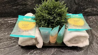a group of products sitting on a tray with a plant at 3BD/3BA- Updated Cozy Ski Retreat with Garage at the Base of Granby Ranch in Granby