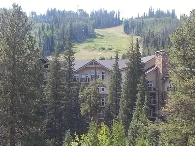an apartment building in the middle of trees at One-Bedroom Apartment in Dillon