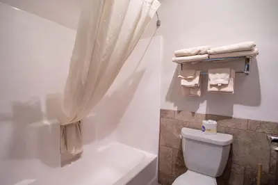 a bathroom with a toilet and a shower curtain at North Park Inn & Suites in Walden
