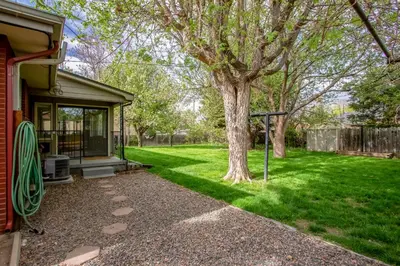 a yard with a tree and a house at Quiet Sunlit Retreat w many Travel Amenities n Grg in Lakewood